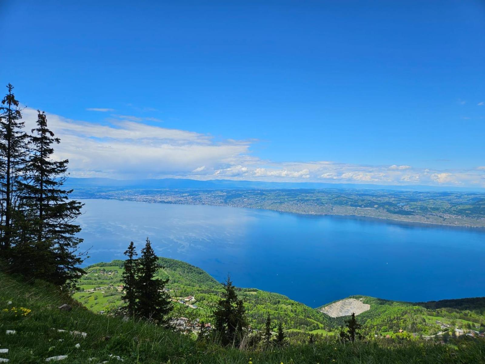 Chalet Les Alpages Vue Panoramique Sur Le Lac Leman Thollon-les-Memises Exteriör bild